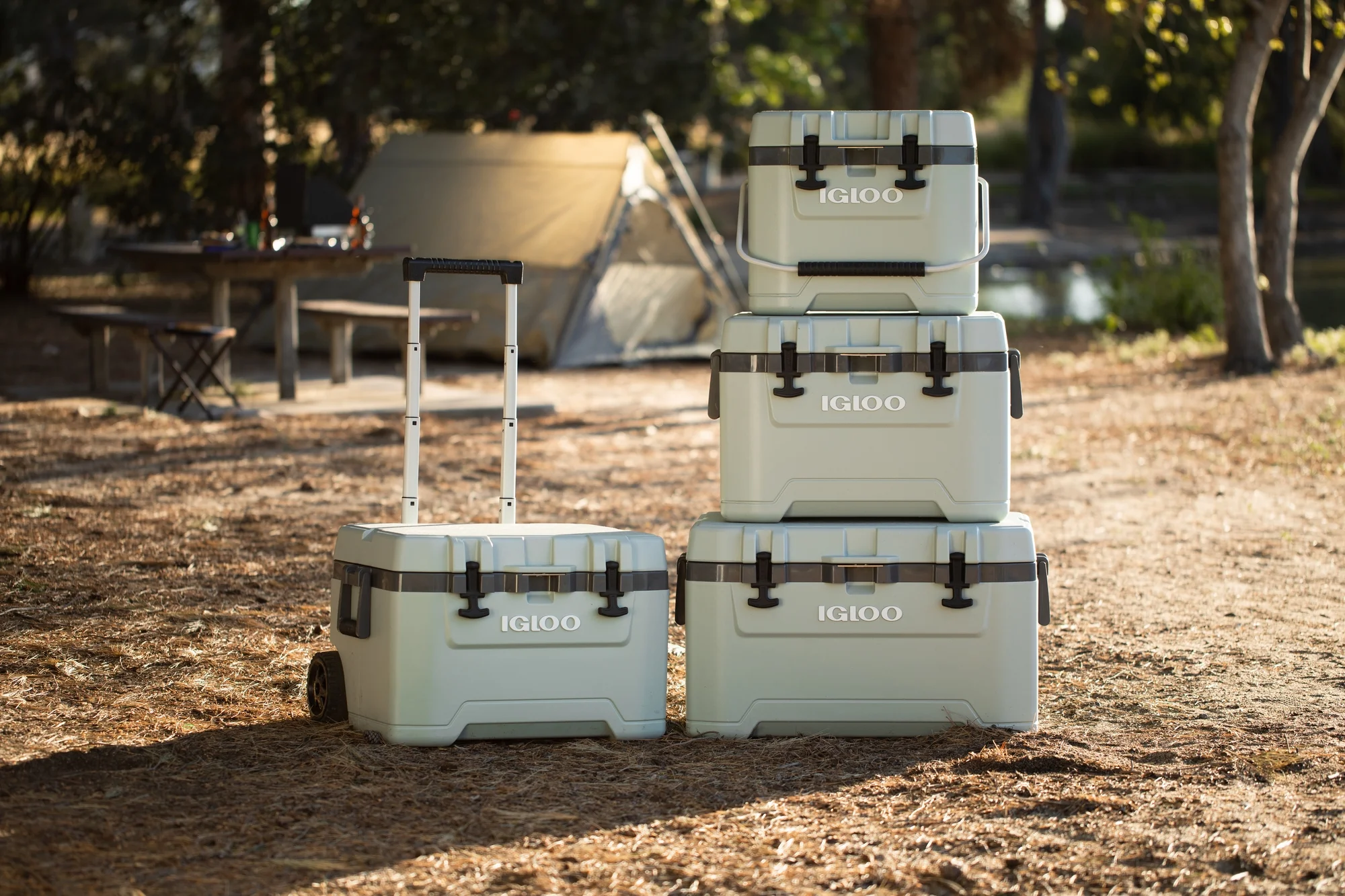 2026 Igloo Overland 72 QT Ice Chest Cooler, Green