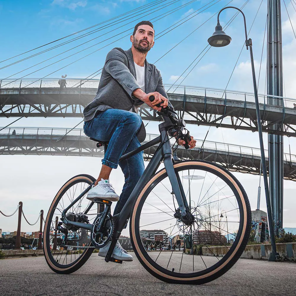 Fiido C21 E-gravel & City Electric Bike