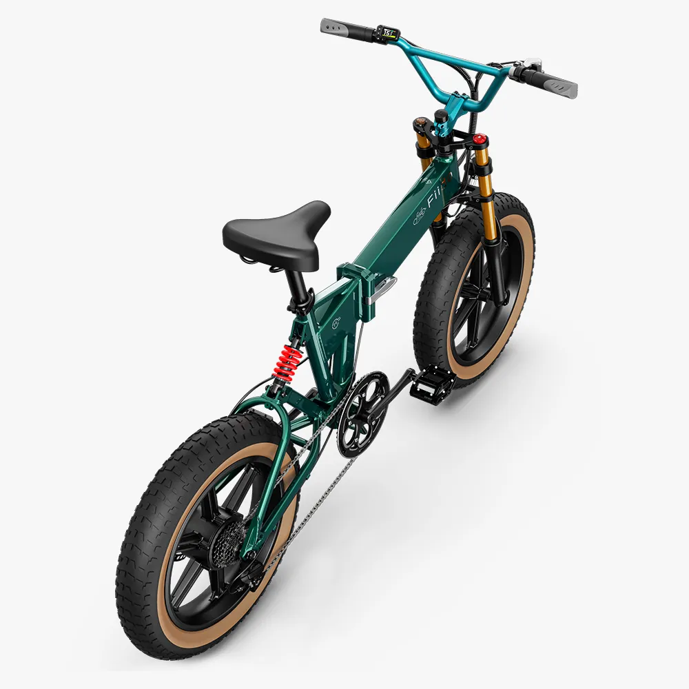 Fiido M1 Pro Electric Bike Big Wheel Fat Bike