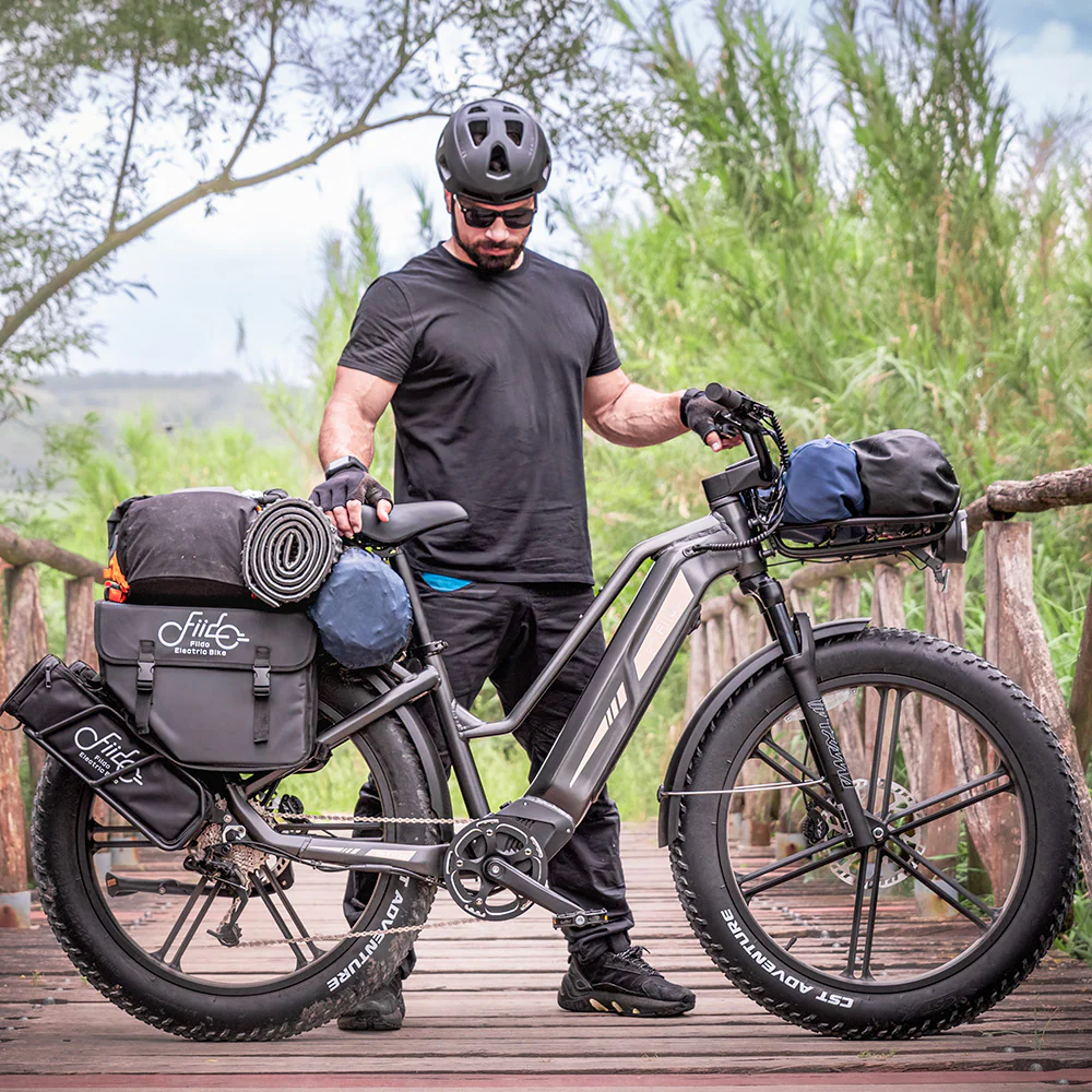 Titan Fat Tire Touring Ebike - Long range