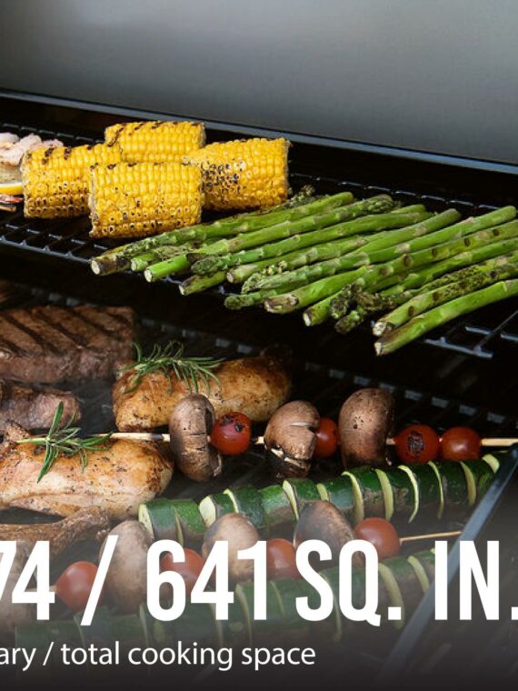 Expert Grill 5 Burner Propane Gas Grill with Side Burner