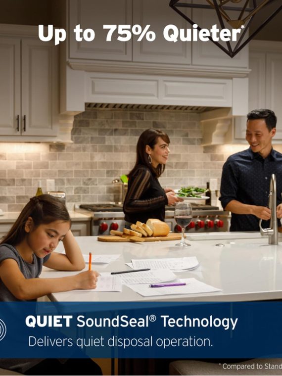 EVOLUTION 0.75HP 3/4 HP, Advanced Series EZ Connect Continuous Feed Food Waste Garbage Disposal, Gray – Advanced Series with EZ Connect