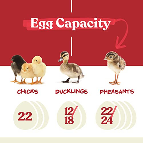 2026 Harris Farms Nurture Right Egg Incubator for Hatching Chicks - Holds 22 Eggs