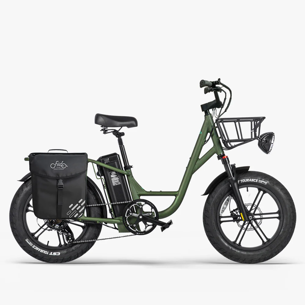 Fiido T1 Pro Cargo Electric Bike Fat Bike Utility
