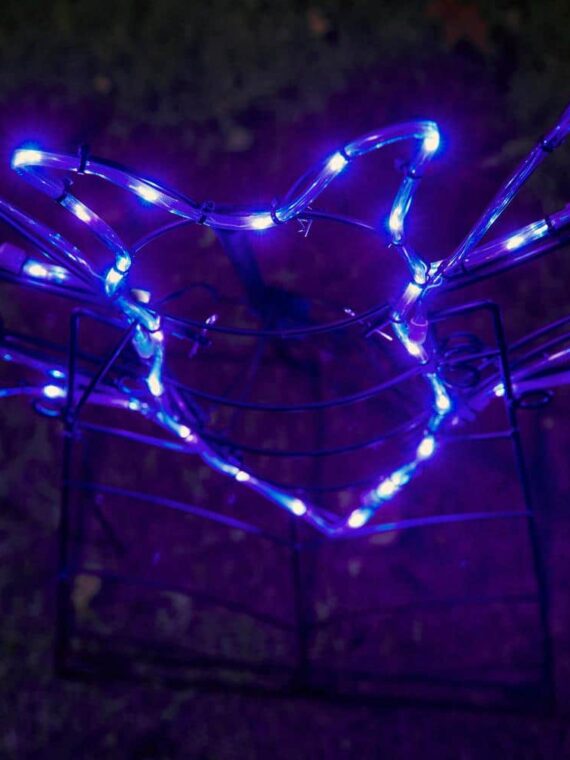 5.5 ft. LED Bat Silhouette