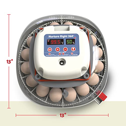 2026 Harris Farms Nurture Right Egg Incubator for Hatching Chicks - Holds 22 Eggs