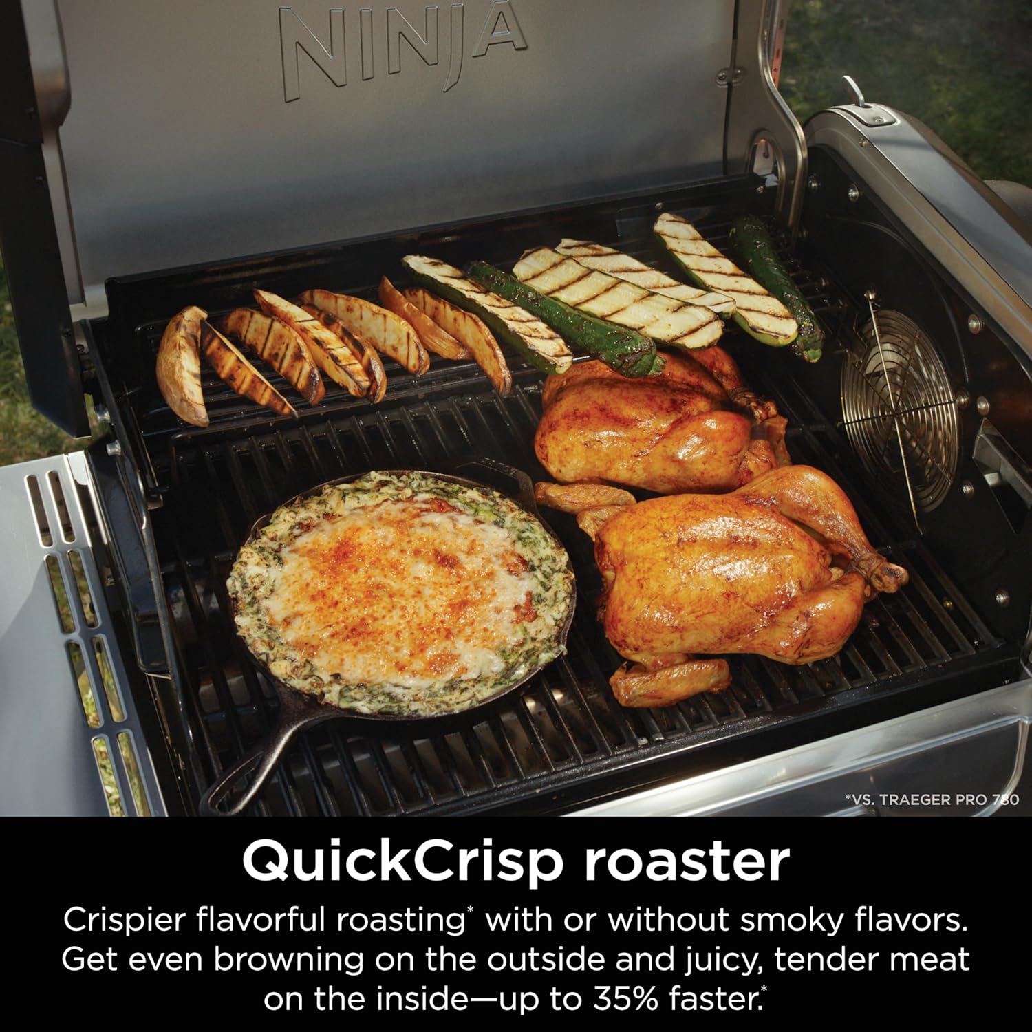 Flexflame 5-in-1 Electric & Propane Grill System