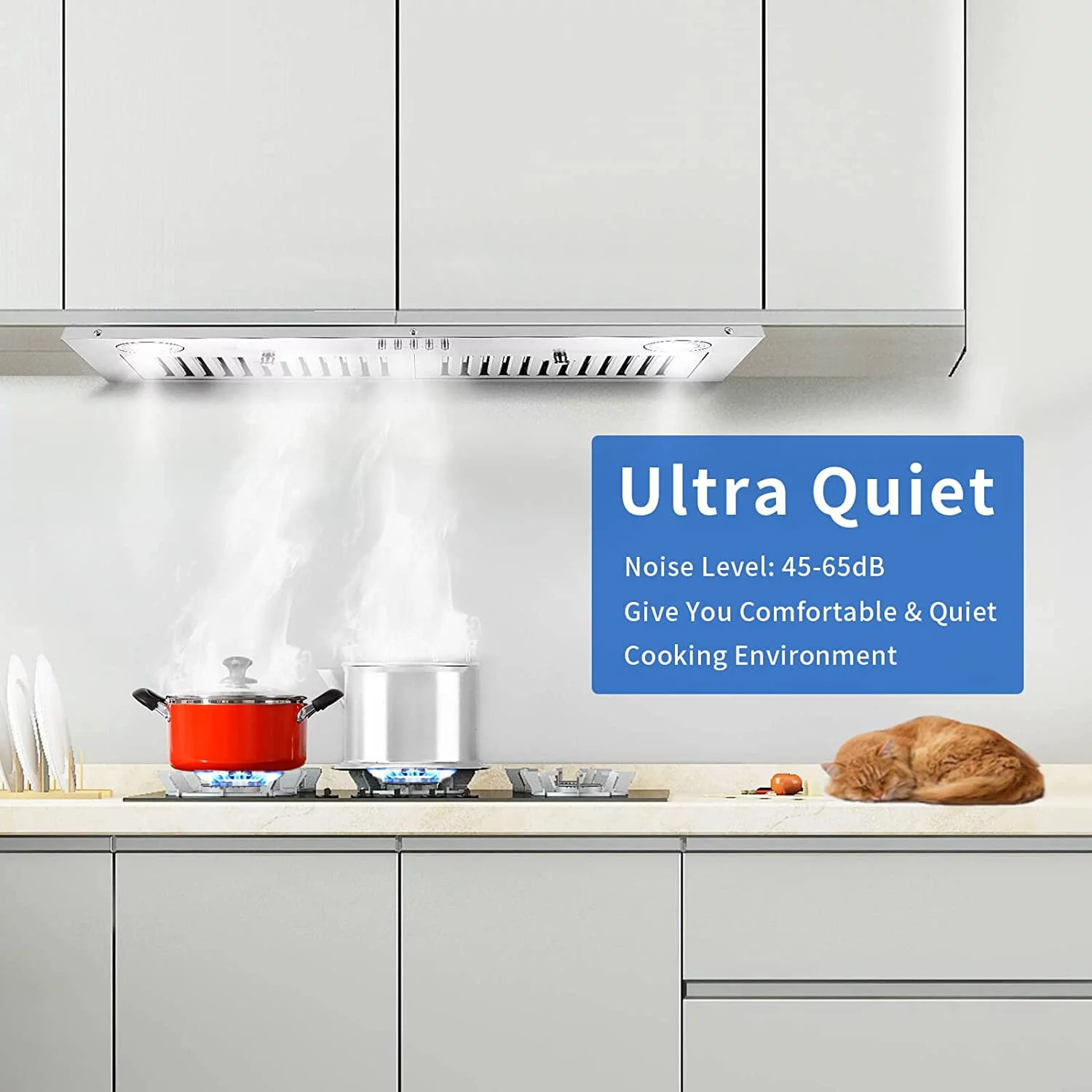 2026 Range Hood 30-inch Built-in Insert Cooker Hood 600CFM Powerful Exhaust Vent Fan