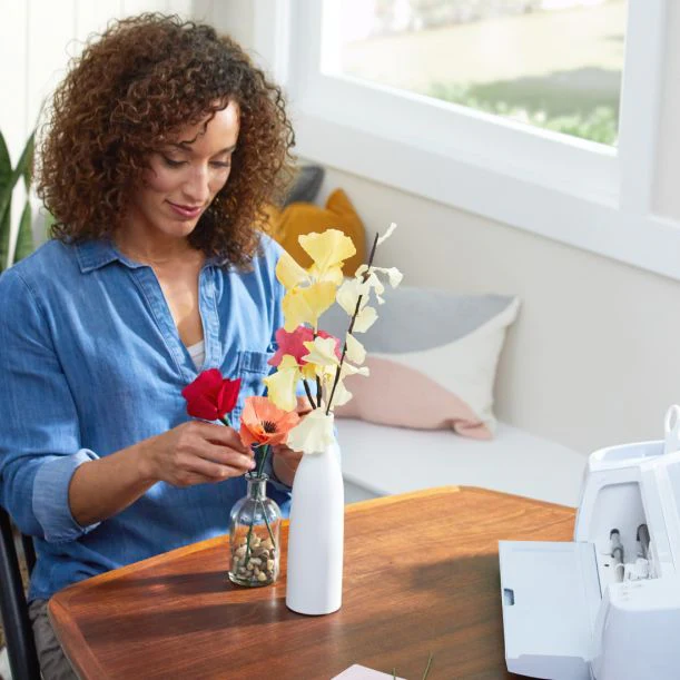 3 + Everything Materials Bundle