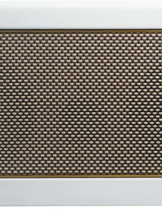 40-Watt Combo Practice Guitar Amplifier Electric Bass and Acoustic Guitar Amp with Spark Mobile App – Pearl