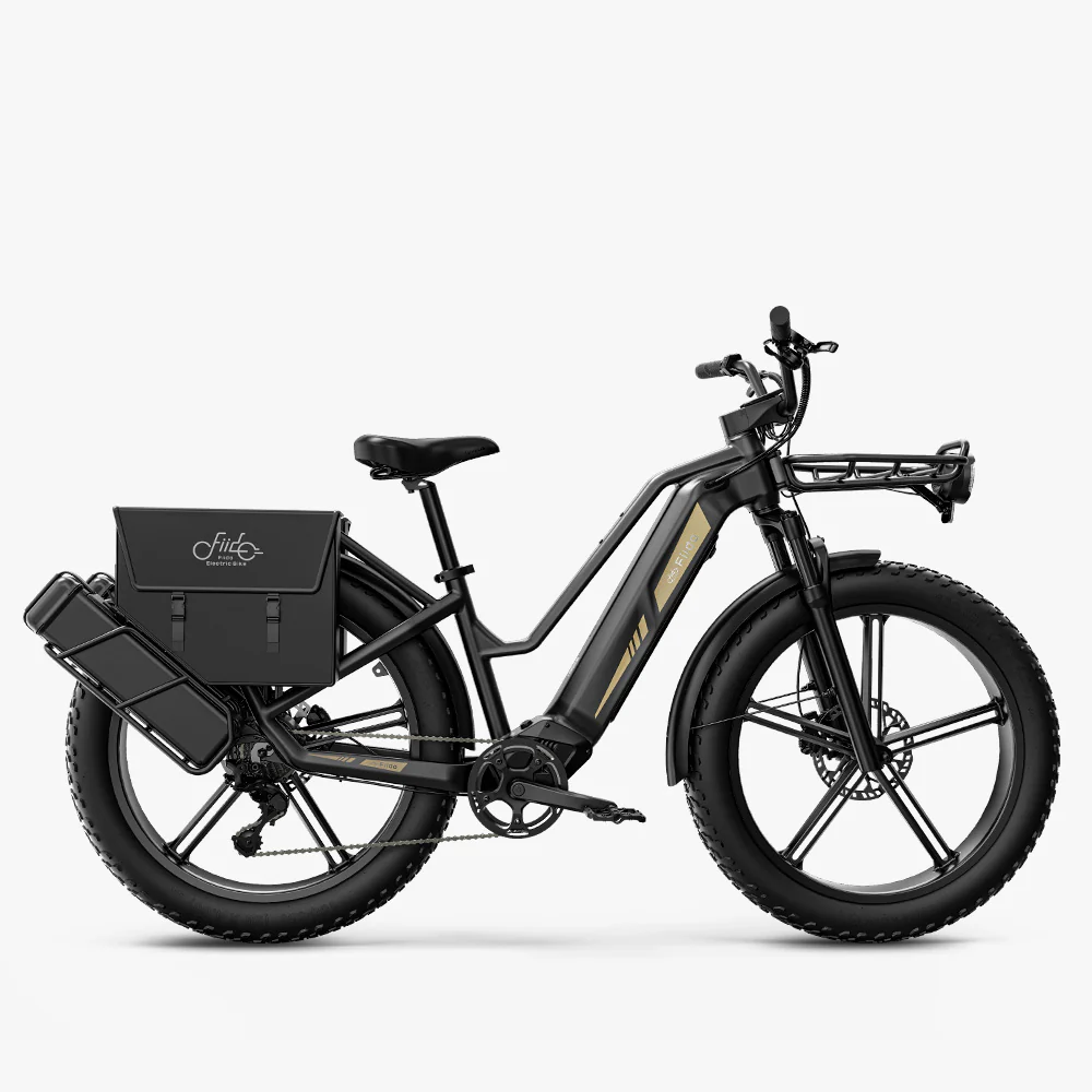 Titan Fat Tire Touring Ebike - Long range