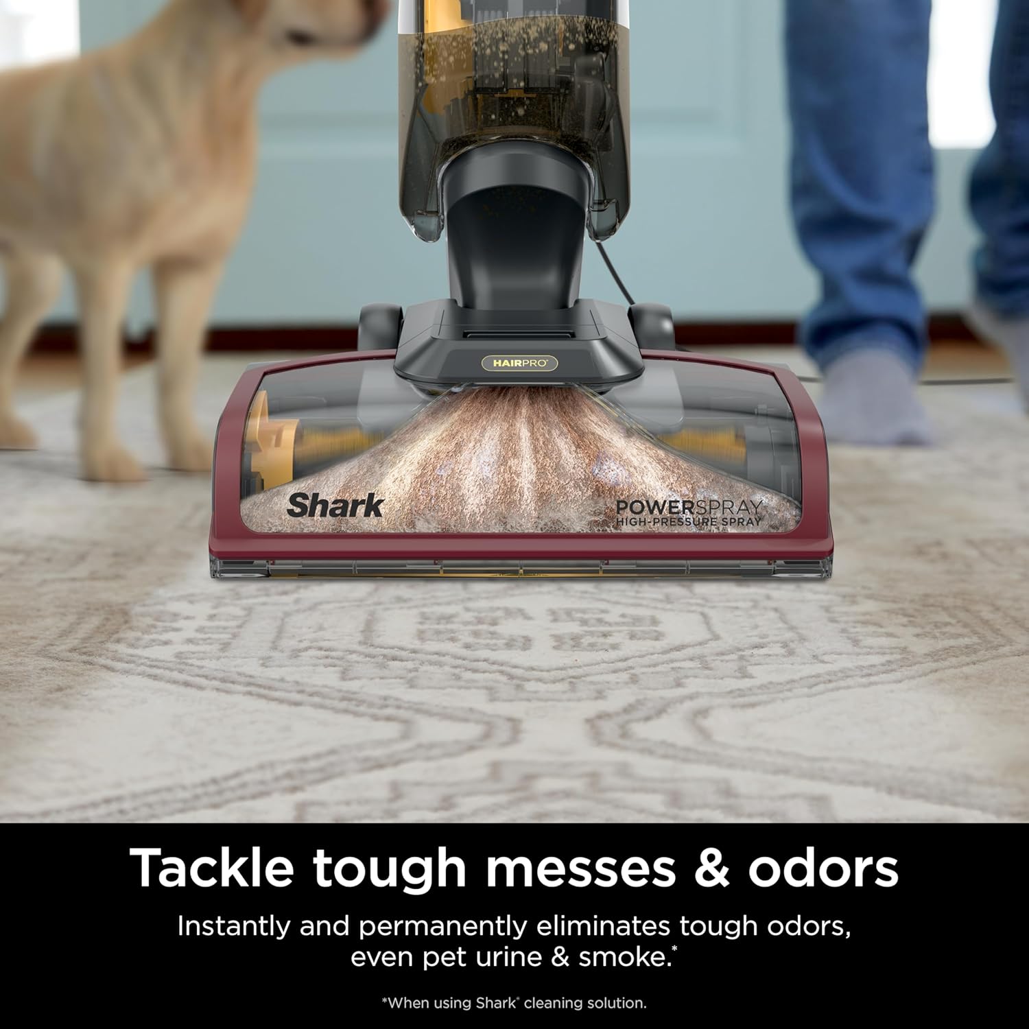 Carpetxpert Upright Carpet & Upholstery Cleaner