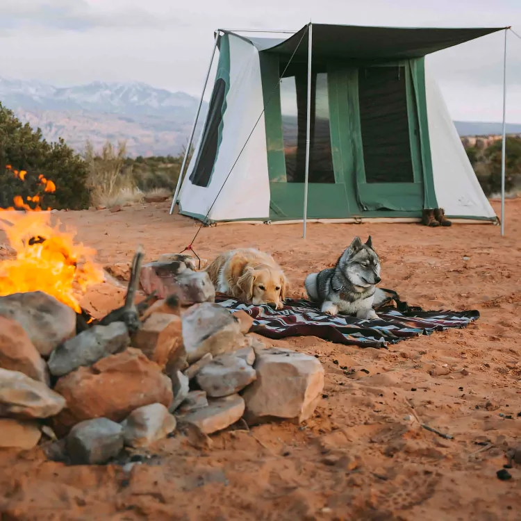 Prota Cabin Tent — Sleek, Spacious & Modern Cabin Tent with Fast Setup