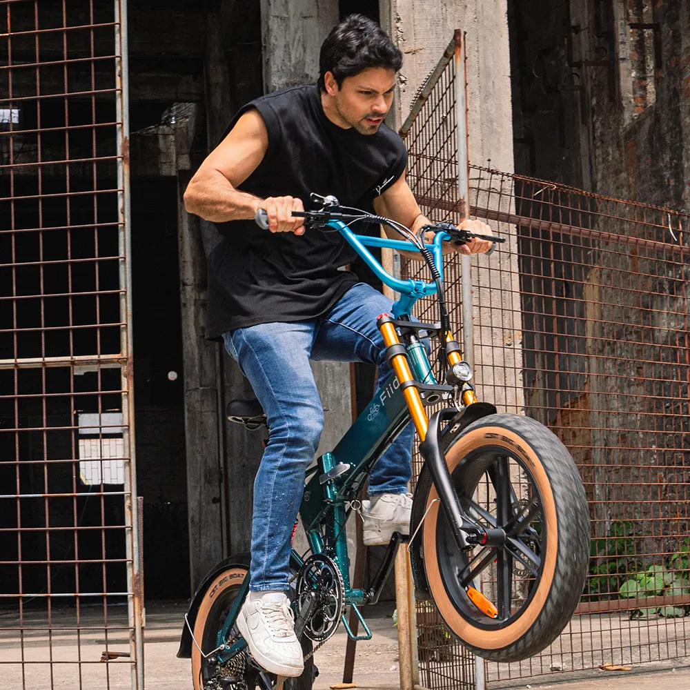 Fiido M1 Pro Electric Bike Big Wheel Fat Bike