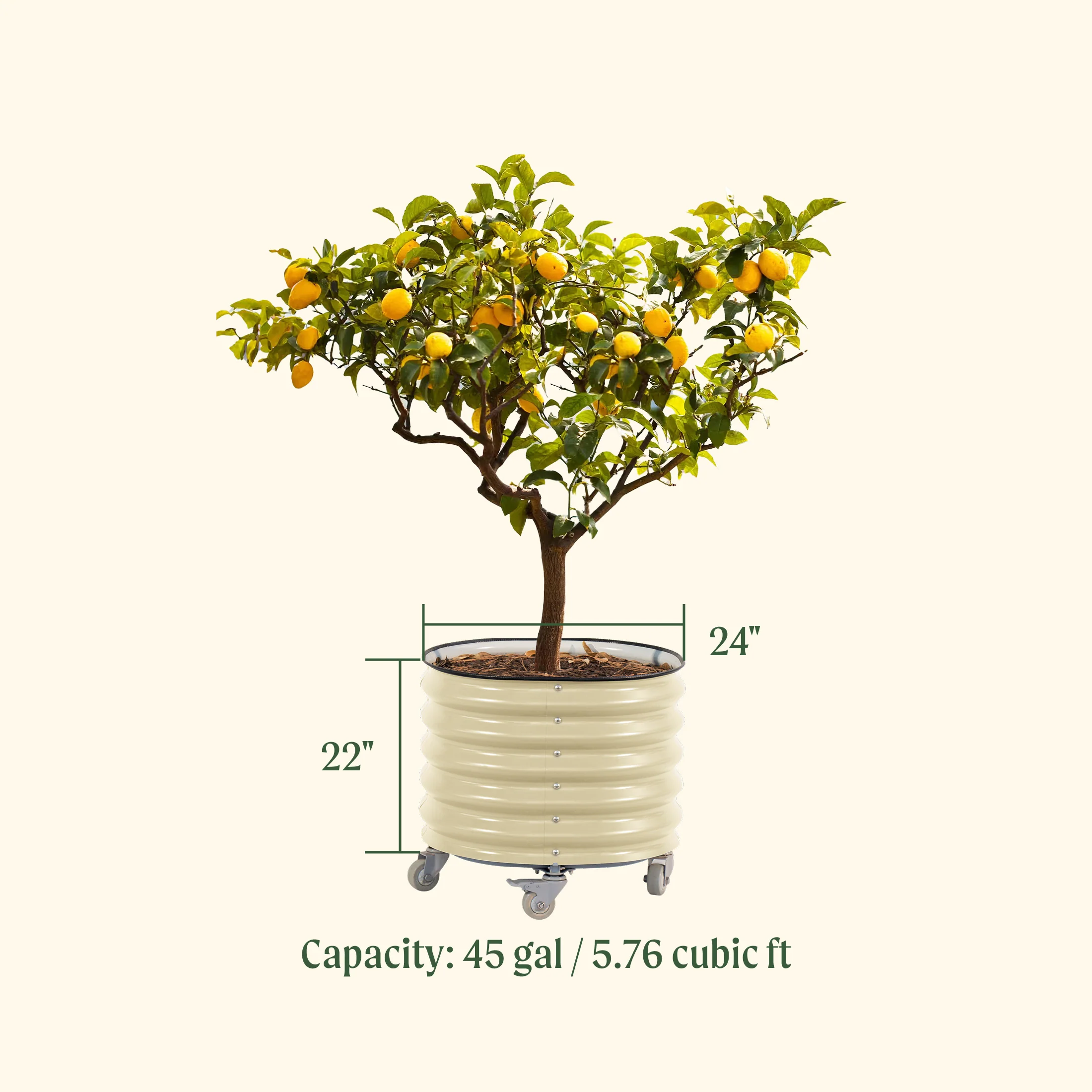 Self-watering Rolling Citrus Tree Planter