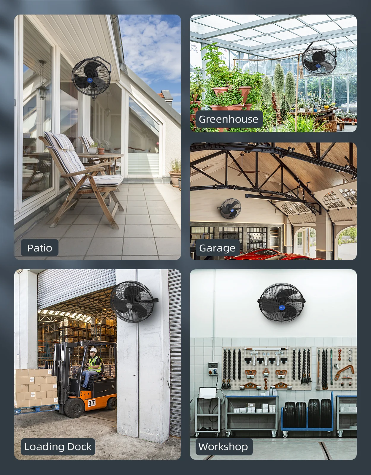 ILG8E14-15 - iLIVING 14