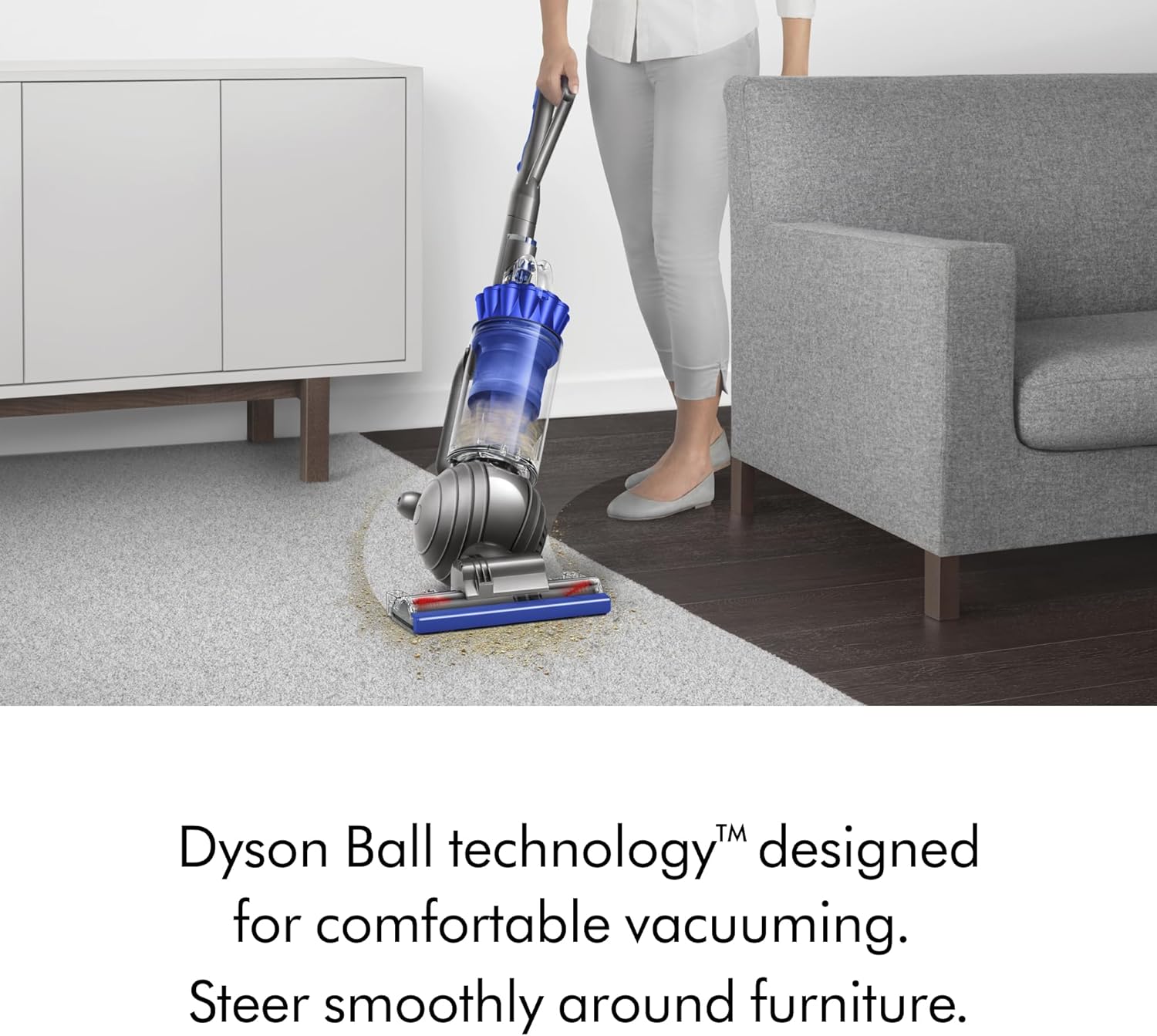 Ball Animal 3 Vacuum Cleaner – Nickel