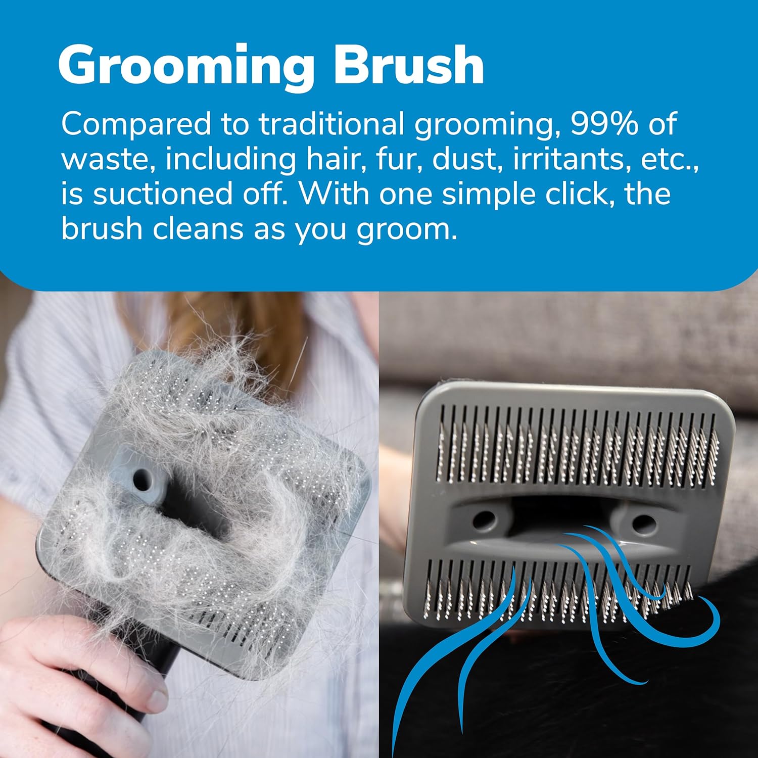 2026 Professional Plus Pet Grooming Vacuum Kit, 5 Pet Grooming Tools, 2L Canister, Works for All Dogs, Cats, and Pet Fur