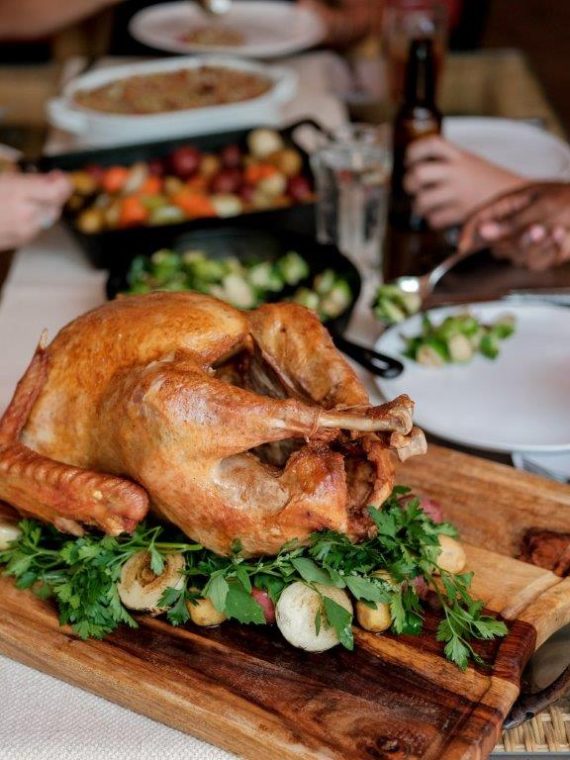 2025 Masterbuilt 10 Liter XL Electric Fryer, Boiler, Steamer in Silver