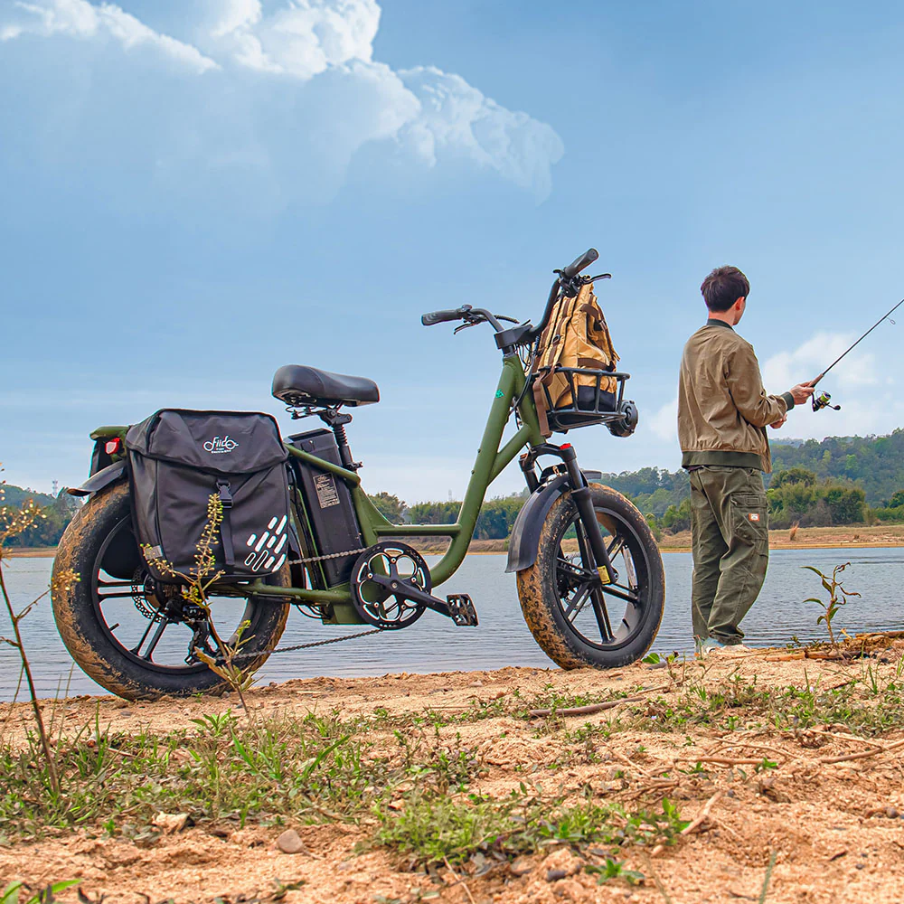 Fiido T1 Pro Cargo Electric Bike Fat Bike Utility