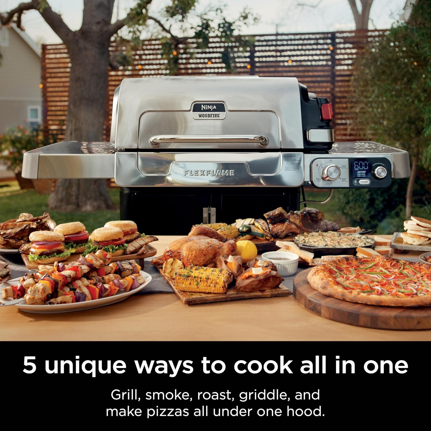 Flexflame 5-in-1 Electric & Propane Grill System