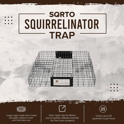 2025 Rugged Ranch Squirrelinator 2 Door Small Metal Wire Multi-Catch Live Animal Squirrel Catch & Release Cage Trap for Pest Control  Black