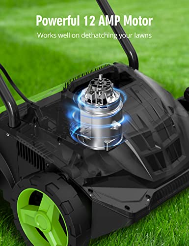 13-Inch 12 Amp Electric Dethatcher Scarifier with Foldable Handle, 2-in-1 Lawn Dethatcher