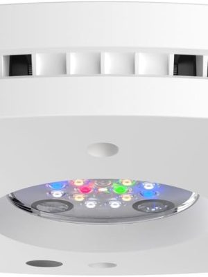 Coleman 13 x 13ft (3.9 x 3.9m) Instant Eaved Shelter Canopy