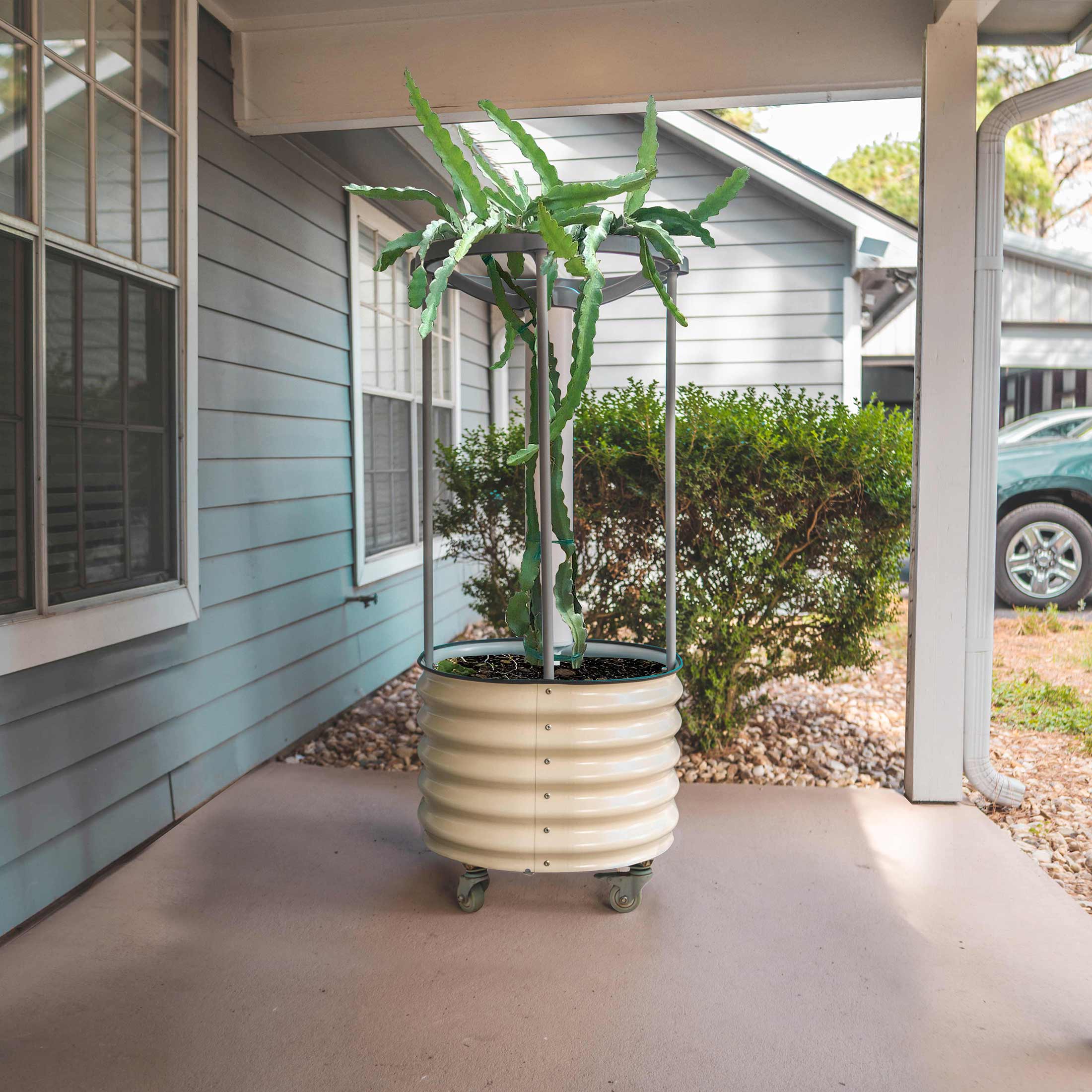 Dragon Fruit Self-Watering Rolling Planter