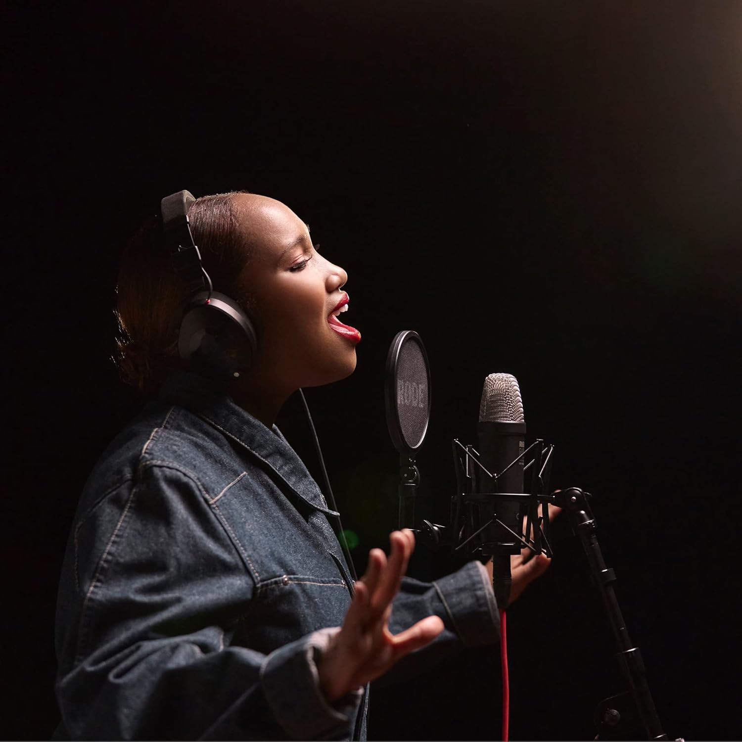 NT1 5th Gen Studio Condenser Microphone