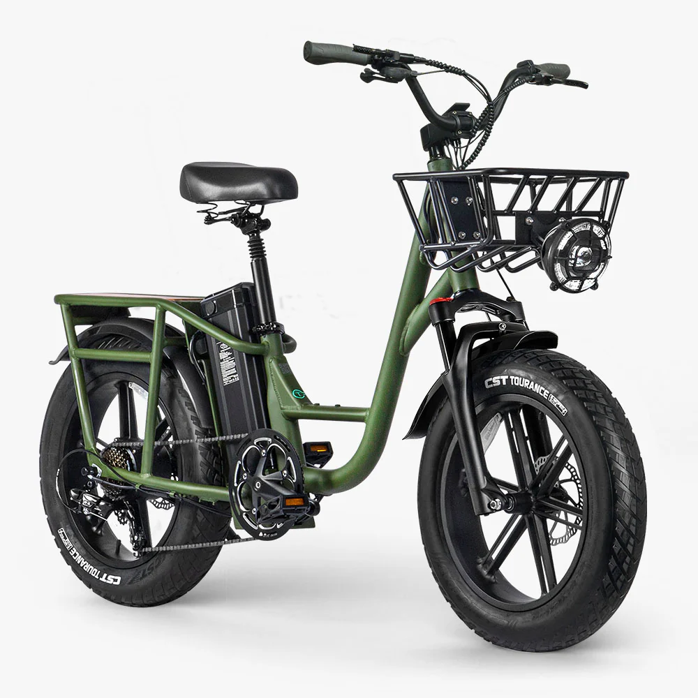 Fiido T1 Pro Cargo Electric Bike Fat Bike Utility