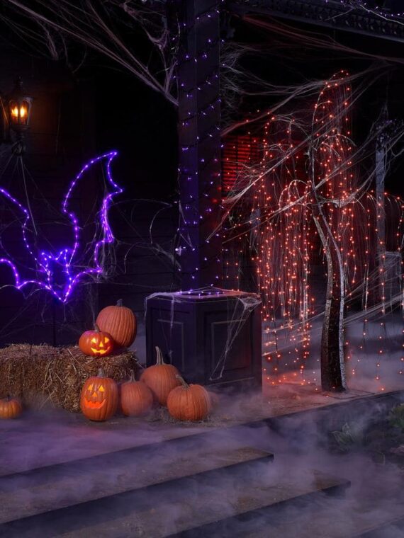 5.5 ft. LED Bat Silhouette