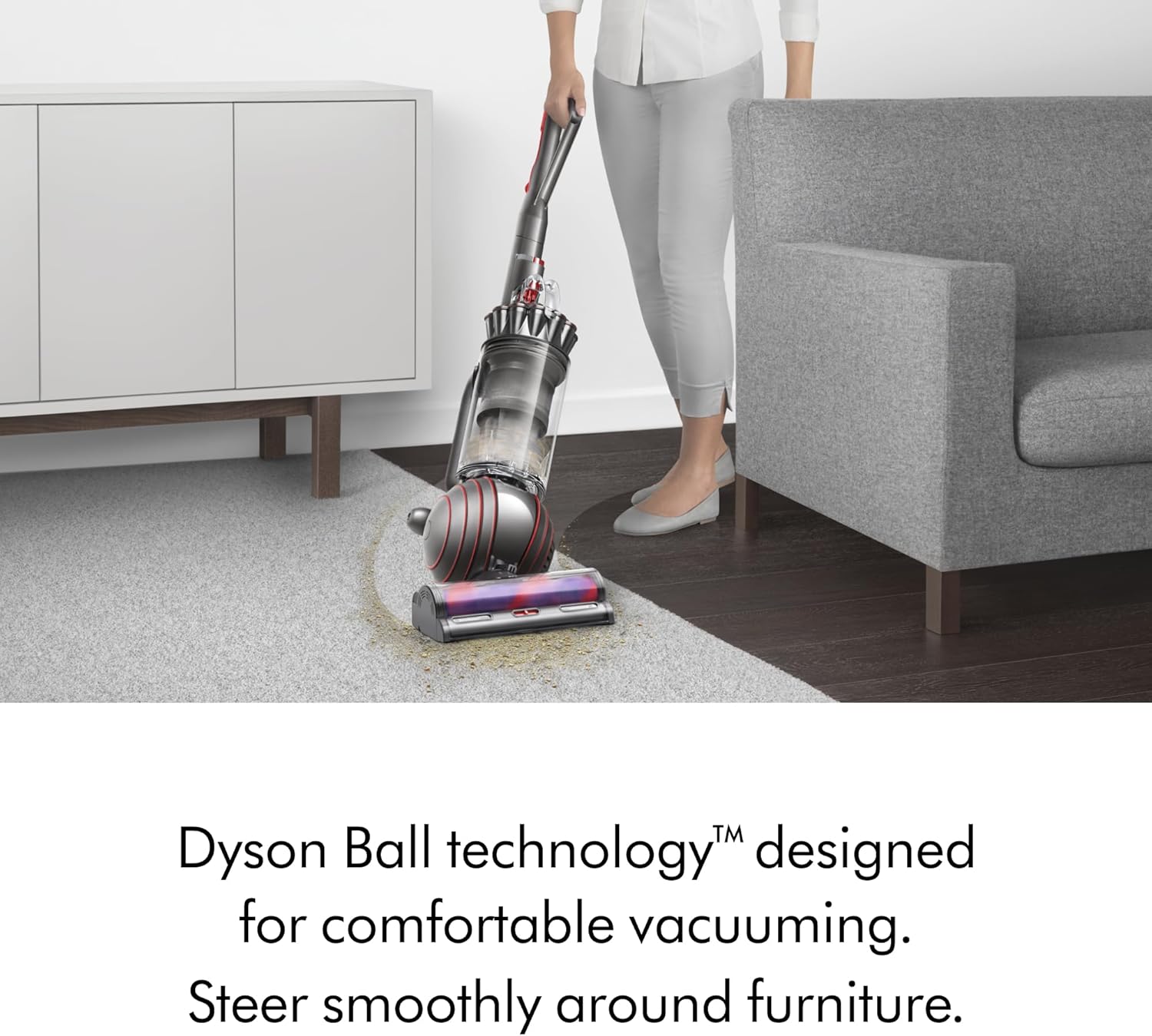 Ball Animal 3 Vacuum Cleaner – Nickel