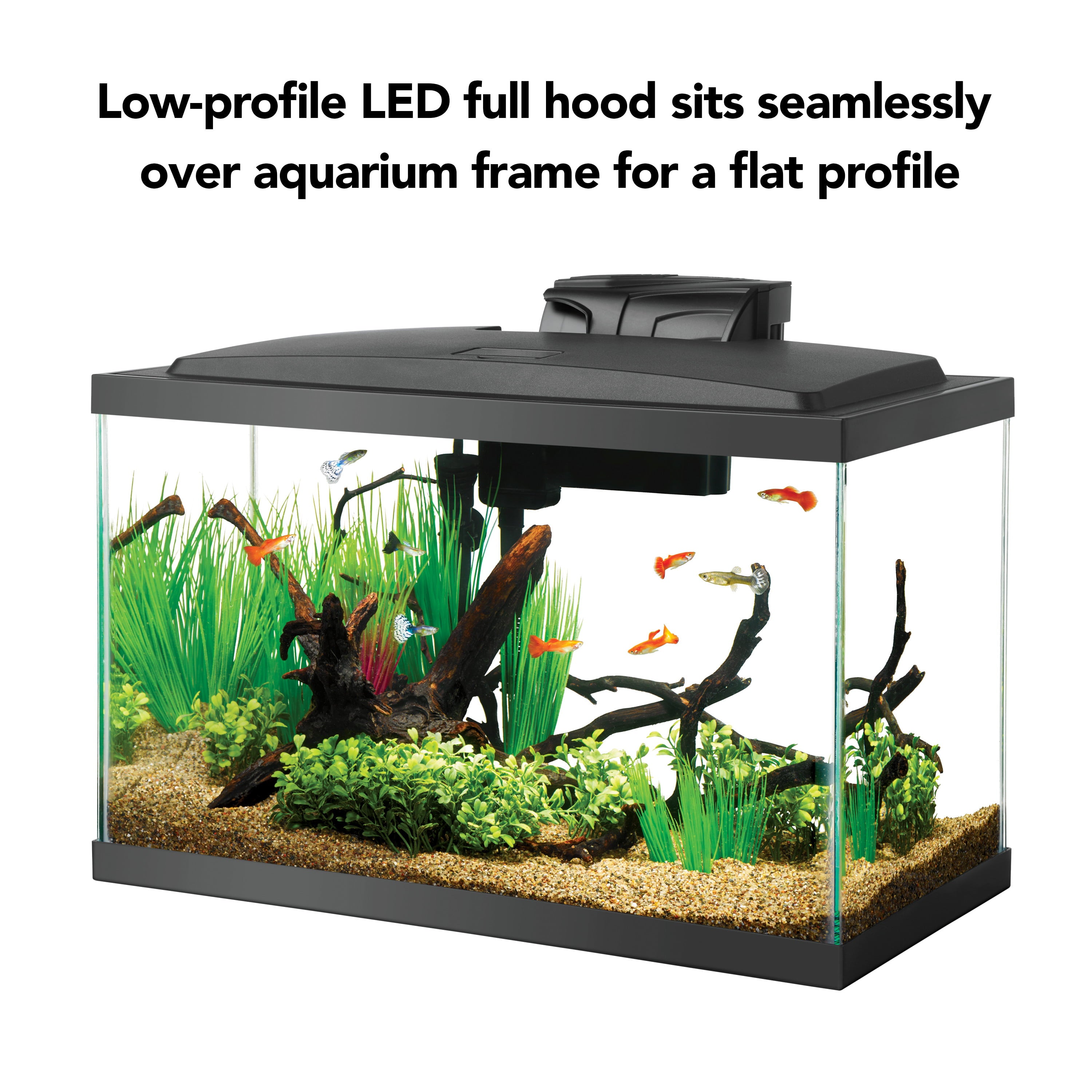 Aqueon Aquarium Starter Kit 10 Gallon Glass Fish Tank LED Lighting Filter and Heater