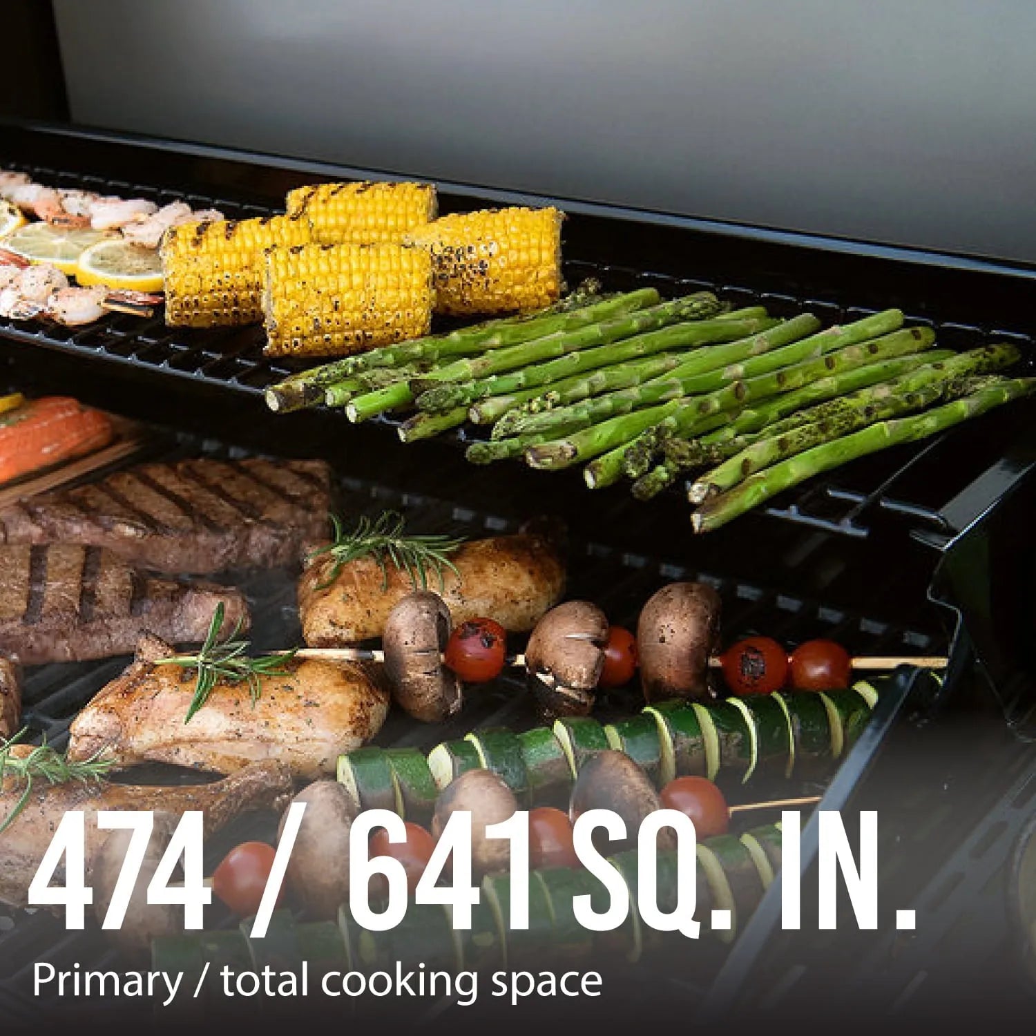 2026 Expert Grill 5-Burner Propane Gas Grill with Side Burner