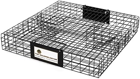 2025 Rugged Ranch Squirrelinator 2 Door Small Metal Wire Multi-Catch Live Animal Squirrel Catch & Release Cage Trap for Pest Control  Black