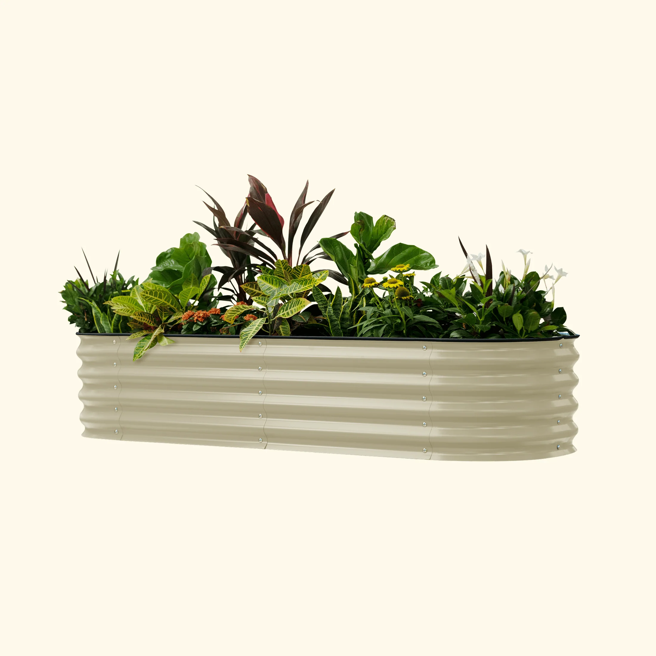 Self-Watering Garden Bed