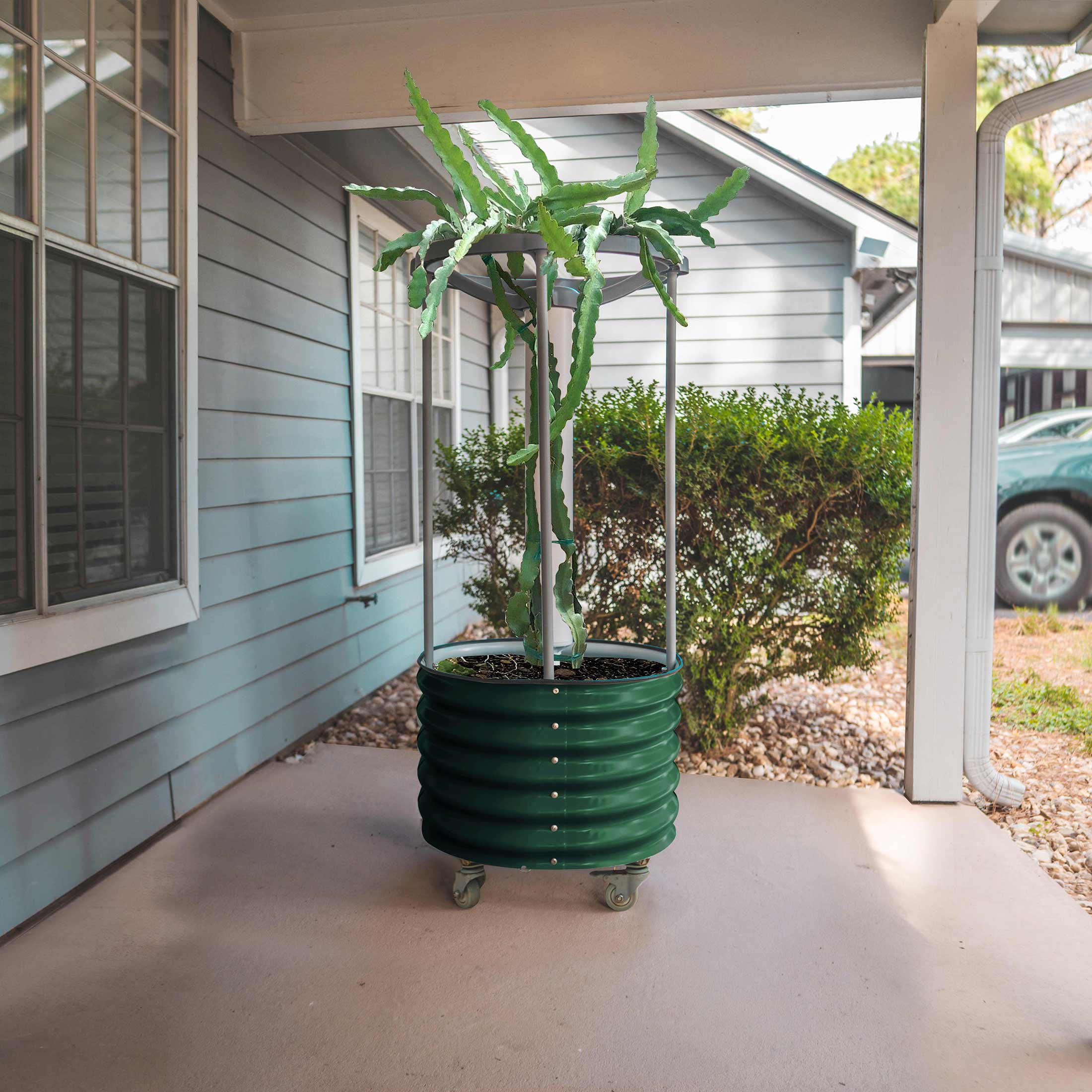 Dragon Fruit Self-Watering Rolling Planter
