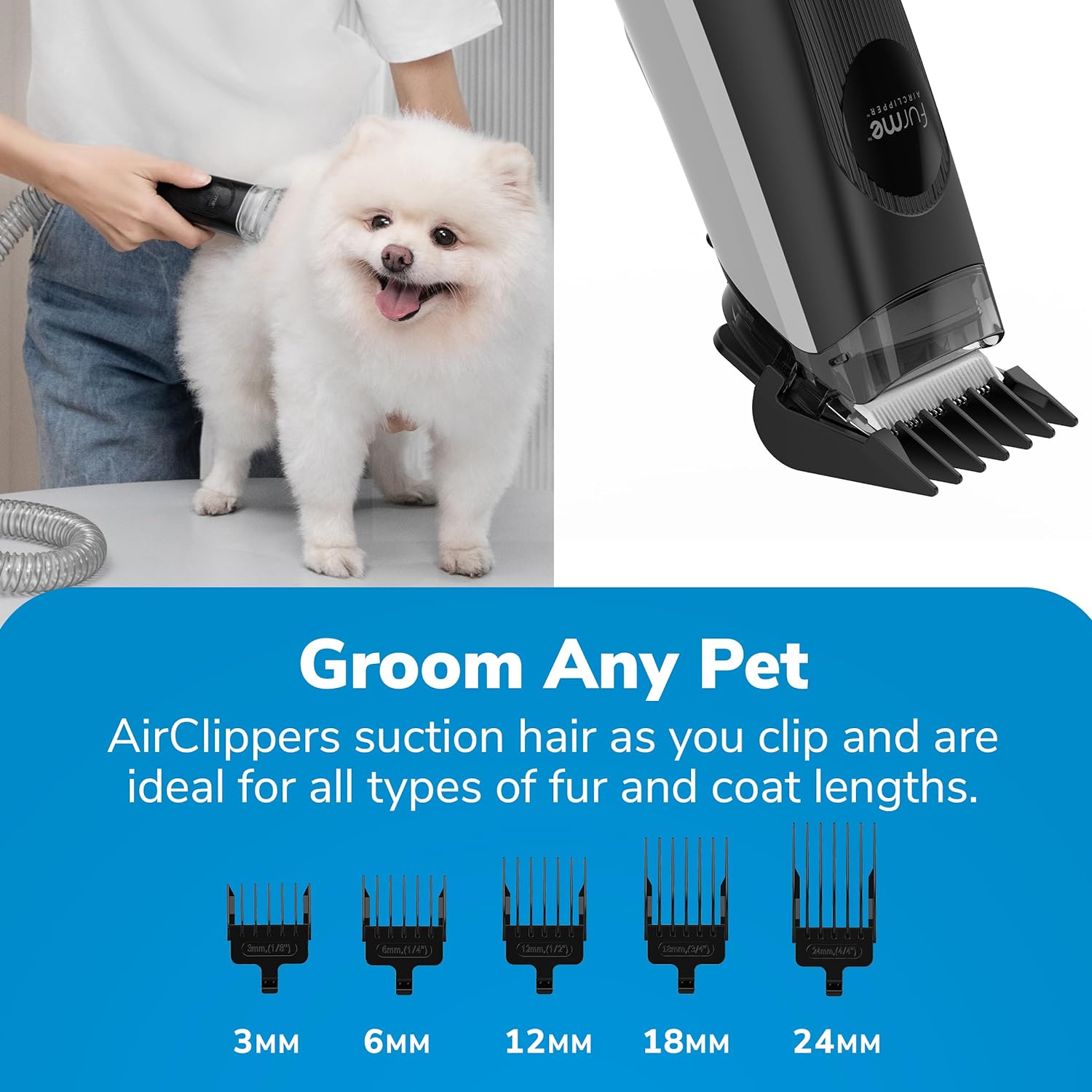 2026 Professional Plus Pet Grooming Vacuum Kit, 5 Pet Grooming Tools, 2L Canister, Works for All Dogs, Cats, and Pet Fur