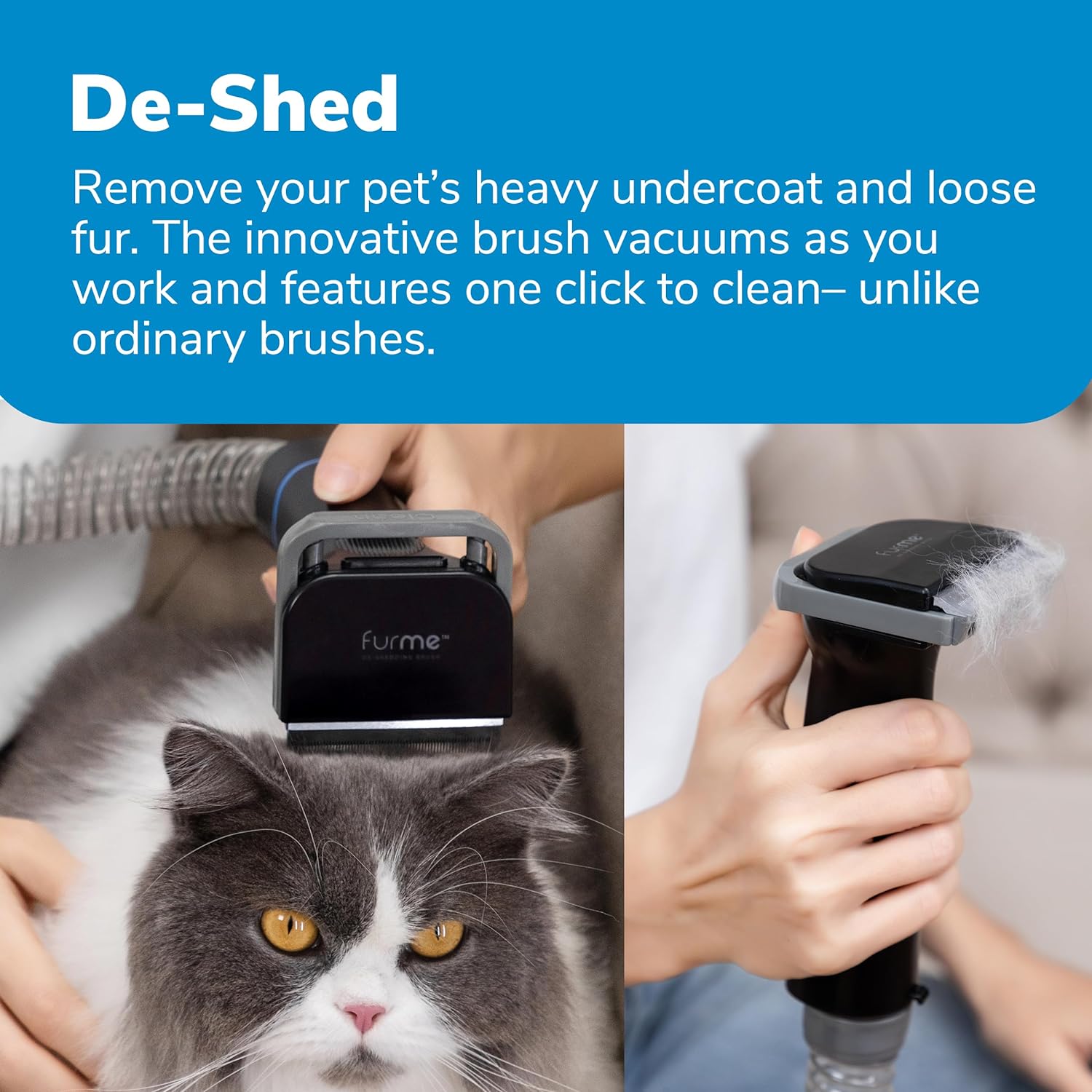 2026 Professional Plus Pet Grooming Vacuum Kit, 5 Pet Grooming Tools, 2L Canister, Works for All Dogs, Cats, and Pet Fur