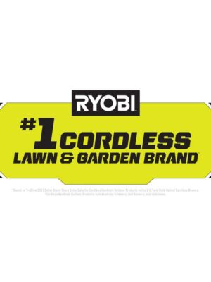 5.5 ft. LED Bat Silhouette