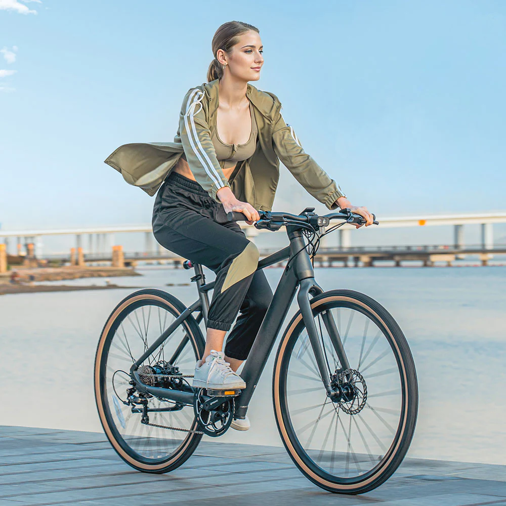 Fiido C21 E-gravel & City Electric Bike
