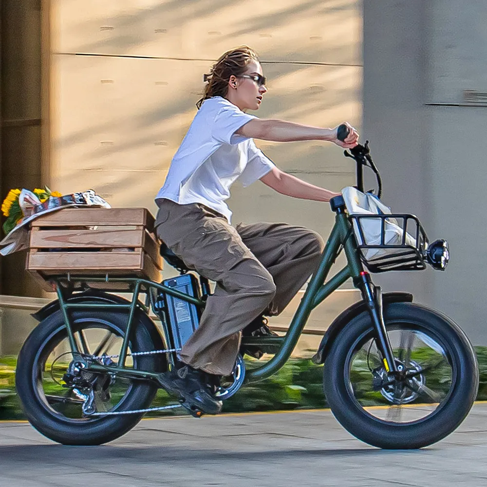 Fiido T1 Pro Cargo Electric Bike Fat Bike Utility