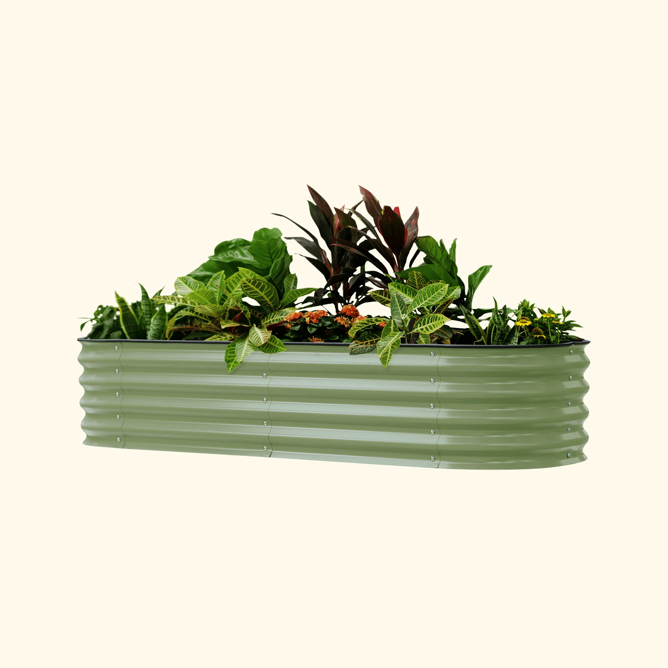 Self-Watering Garden Bed