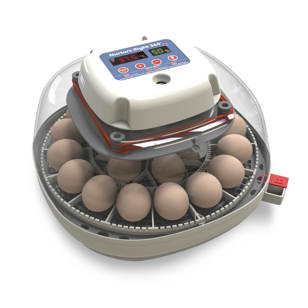 2026 Harris Farms Nurture Right Egg Incubator for Hatching Chicks - Holds 22 Eggs