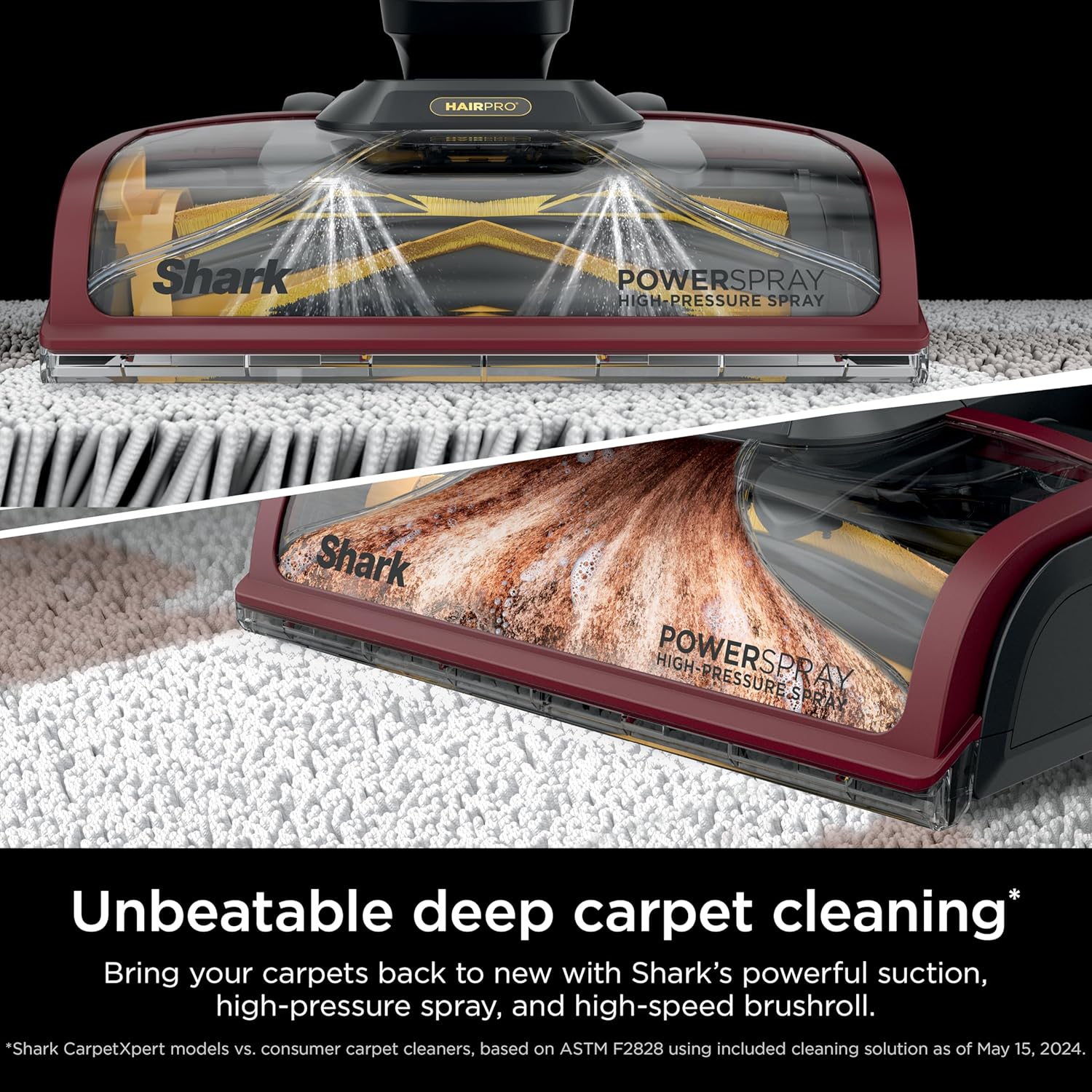 Carpetxpert Upright Carpet & Upholstery Cleaner