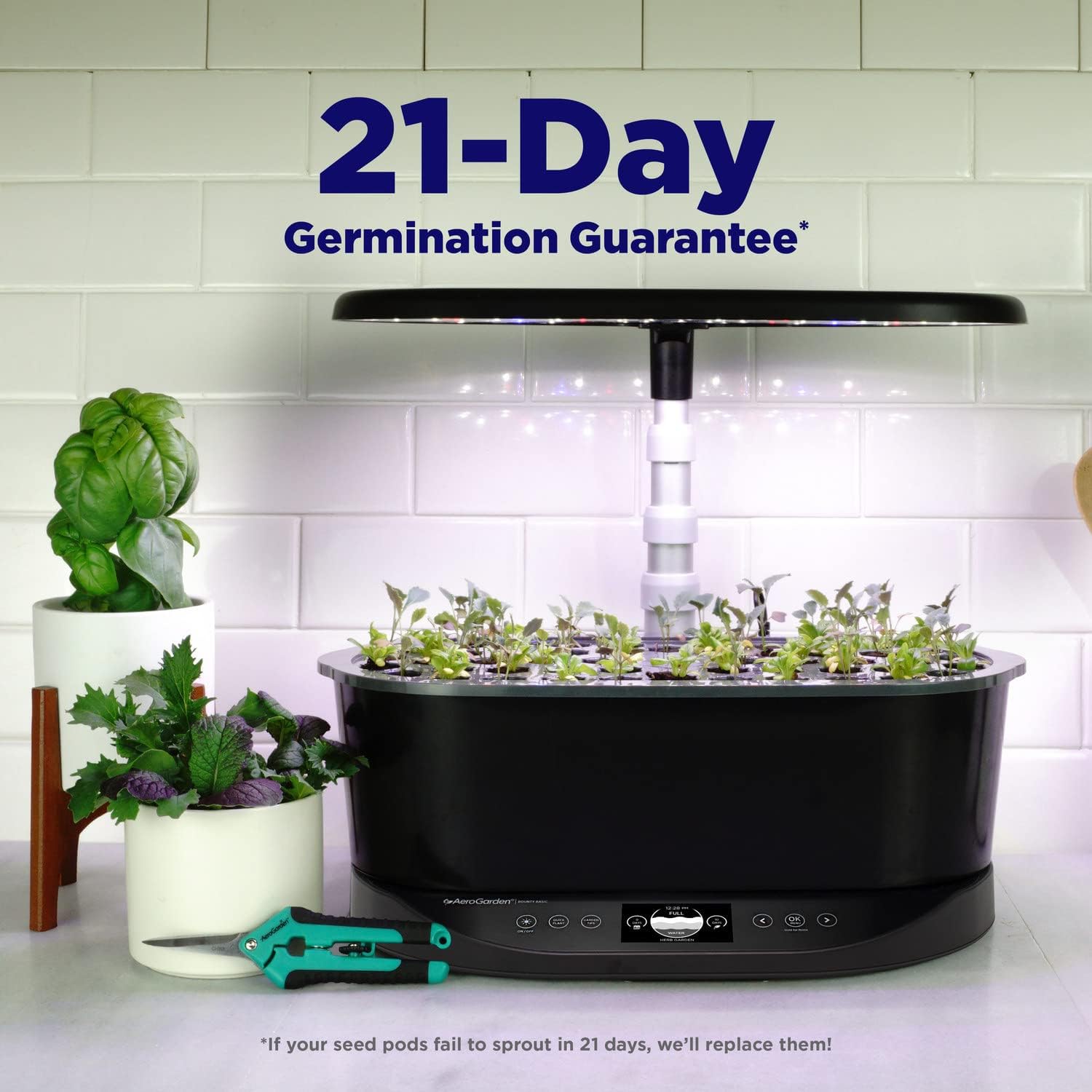 AeroGarden Bounty Basic - Indoor Garden with LED Grow Light