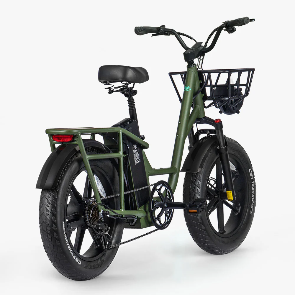 Fiido T1 Pro Cargo Electric Bike Fat Bike Utility