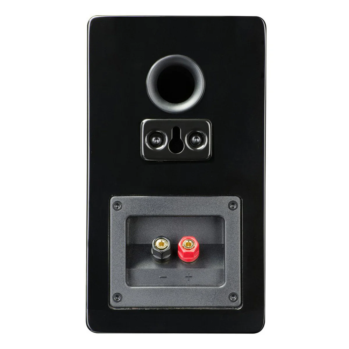 2026 SVS Prime Satellite 5.1 Package (Premium Black Ash)