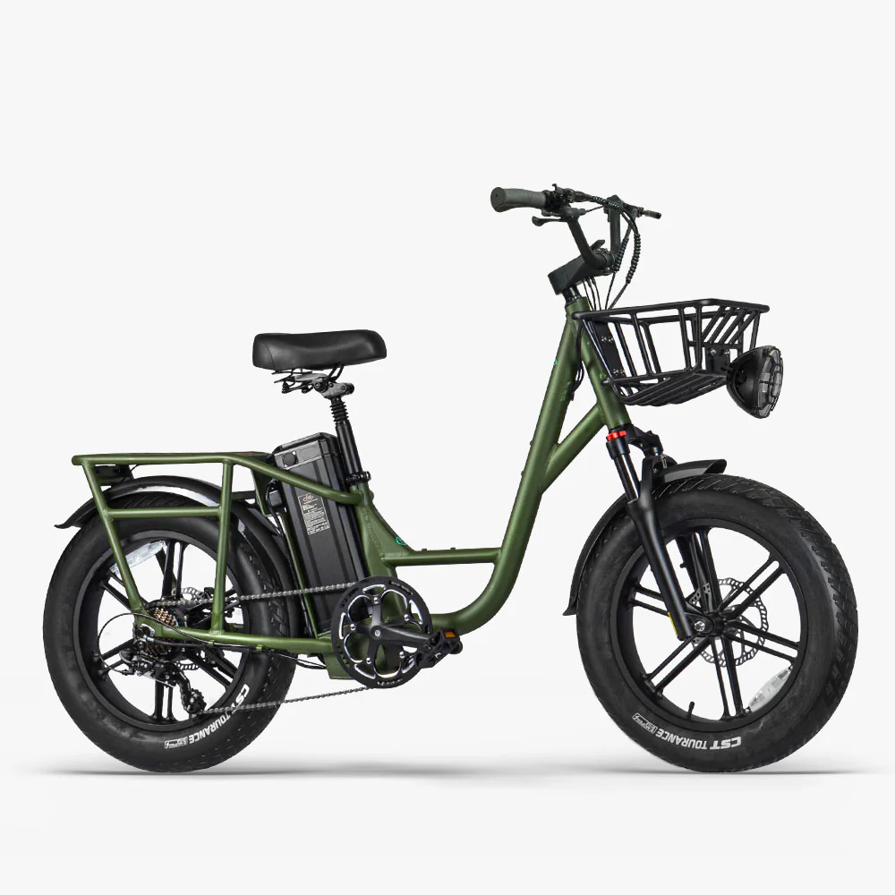 Fiido T1 Pro Cargo Electric Bike Fat Bike Utility